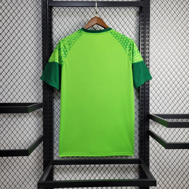 Camisa Treino Palmeiras 24/25 - Verde - Puma - Masculina