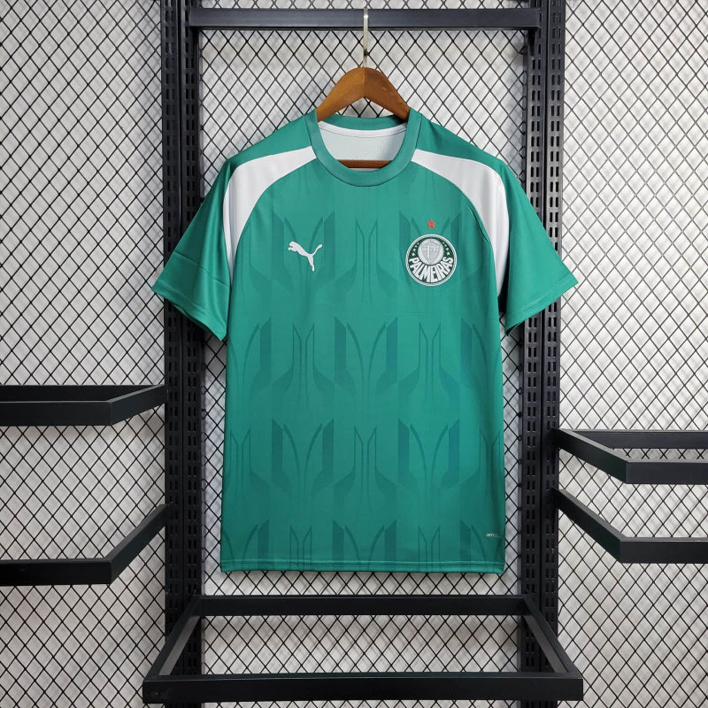 Camisa Palmeiras Treino 24/25 - Verde - Puma - Masculina